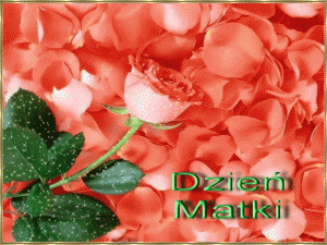 dzień matki róża