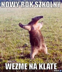 nowy rok