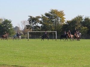 IMG 7631
