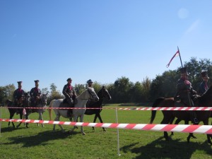 IMG 7638