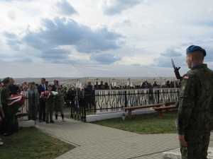 IMG 7597