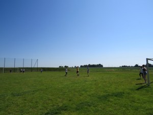 IMG 2508