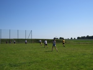 IMG 2510