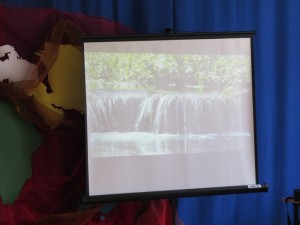 IMG 6645