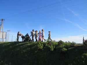 IMG 8406