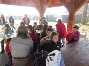IMG 9740
