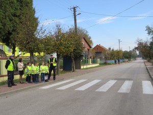 IMG 8080