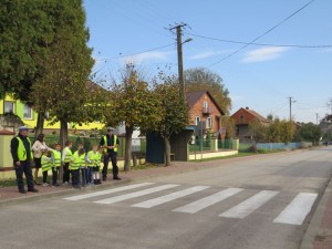 IMG 8085