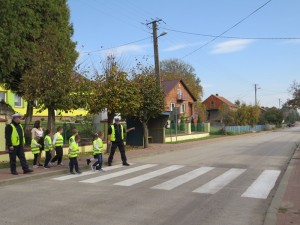 IMG 8086