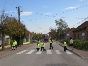 IMG 8091