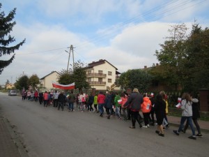 IMG 7678