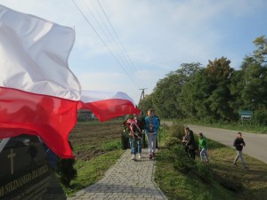 IMG 7735