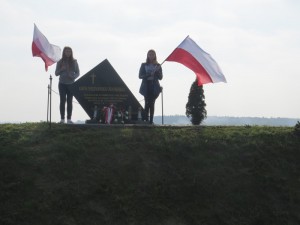 IMG 7746
