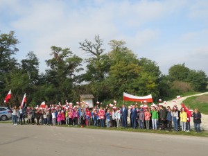 IMG 7749