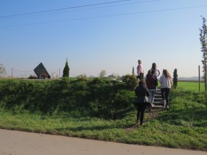 IMG 1302