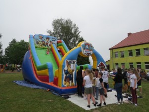 IMG 3637