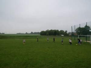 IMG 3646