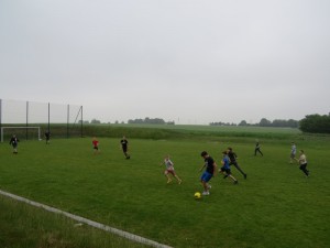 IMG 3647