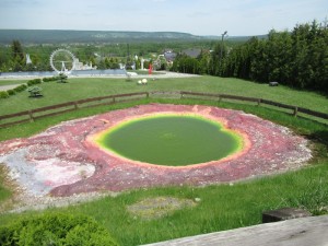 IMG 5105