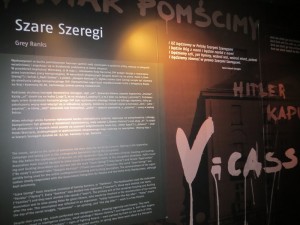 IMG 8167