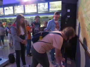 IMG 7549