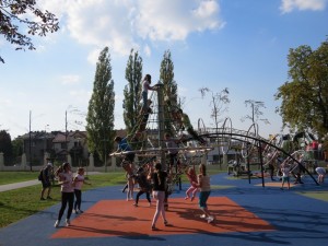 IMG 7571