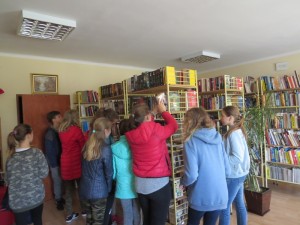 IMG 4036