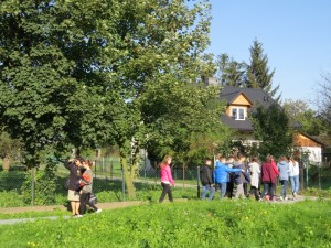 IMG 4065