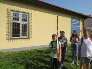 IMG 7498