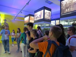 IMG 7526