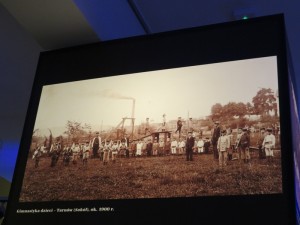 IMG 7534